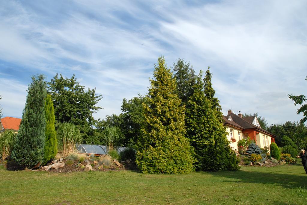 Ubytování Vila Sobotka Exteriér fotografie