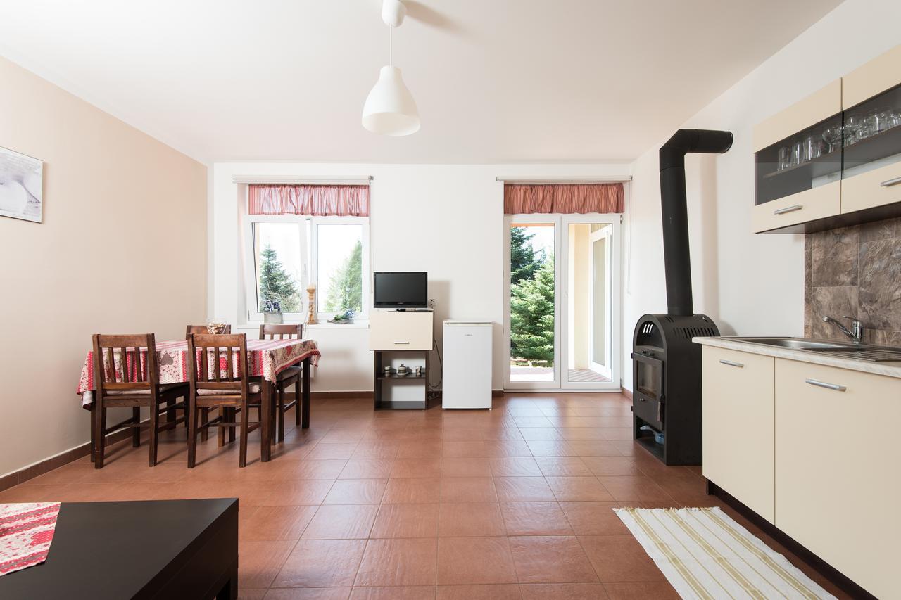 Ubytování Vila Sobotka Exteriér fotografie